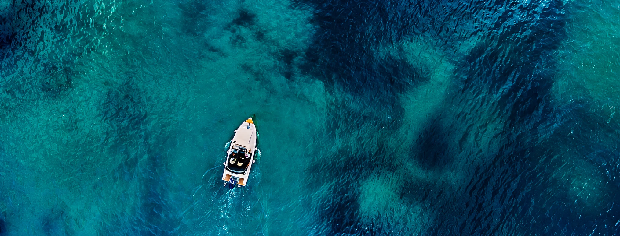 Bateaux et semi-rigides pour explorer la mer